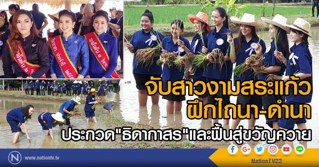 จับสาวสระแก้ว ฝึกไถนา ดำนาจริง ประกวด"ธิดากาสร"และฟื้นสู่ขวัญควาย