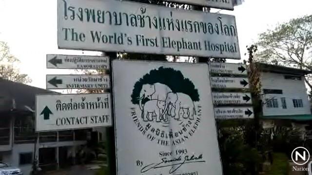 เลขาธิการมูลนิธิเพื่อนช้างย้ำไม่ได้เป็นการหนี้ แต่ขาดงบดำเนินการ