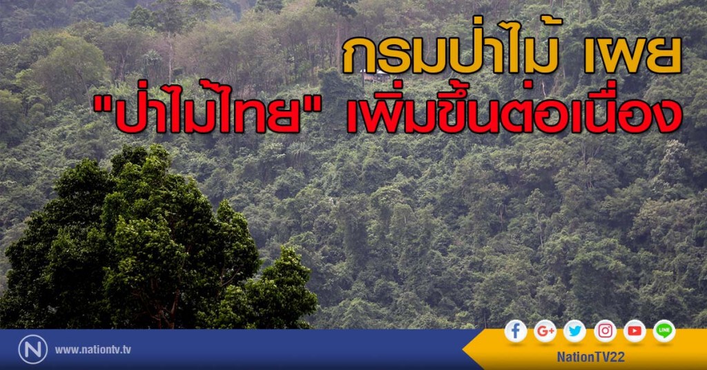 กรมป่าไม้ เผย "ป่าไม้ไทย" เพิ่มขึ้นต่อเนื่อง กรมป่าไม้ เผย "ป่าไม้ไทย" เพิ่มขึ้นต่อเนื่อง