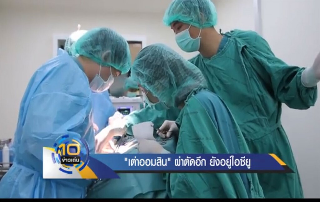 "เต่าออมสิน" ผ่าตัดอีกยังอยู่ไอซียู "เต่าออมสิน" ผ่าตัดอีกยังอยู่ไอซียู