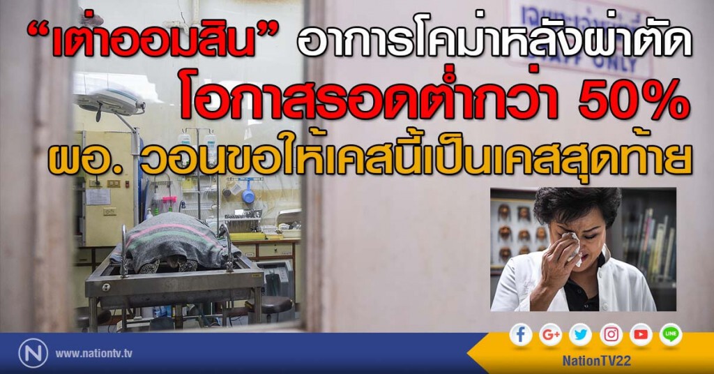 "เต่าออมสิน" อาการโคม่าหลังผ่าตัด โอกาสรอดต่ำกว่า 50% ผอ. วอนขอให้เคสนี้เป็นเคสสุดท้าย "เต่าออมสิน" อาการโคม่าหลังผ่าตัด โอกาสรอดต่ำกว่า 50% ผอ. วอนขอให้เคสนี้เป็นเคสสุดท้าย