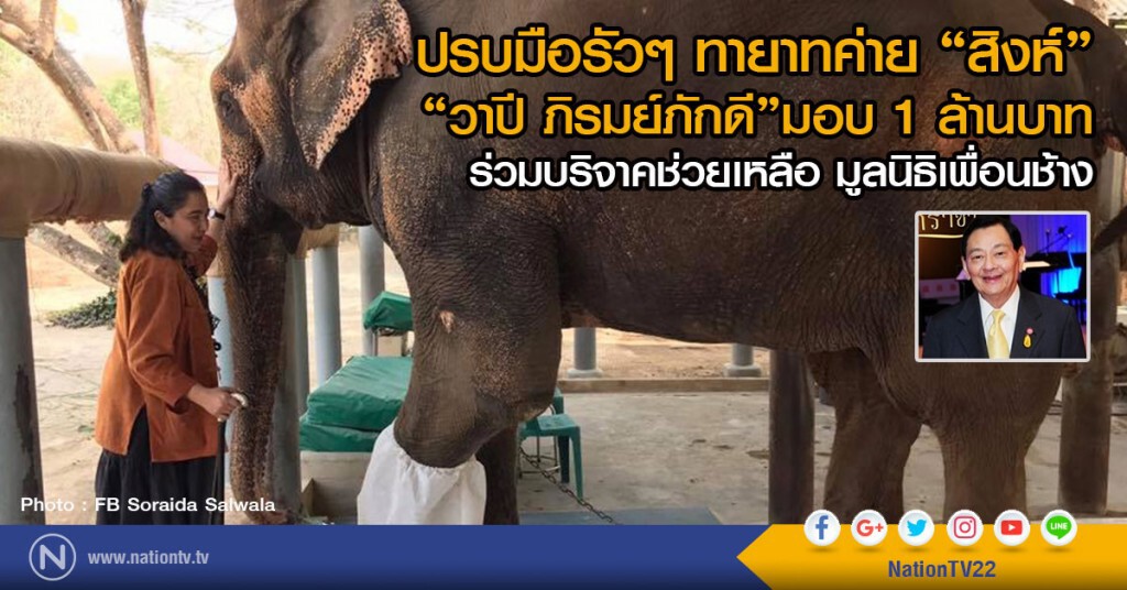 ปรบมือรัวๆ ทายาทค่าย "สิงห์"  
"วาปี ภิรมย์ภักดี" มอบ1ล้านบาท 
ร่วมบริจาคช่วยเหลือ มูลนิธิเพื่อนช้าง