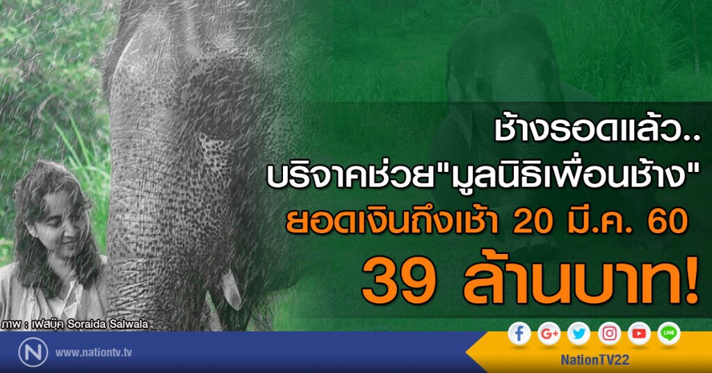คนไทยหัวใจช้าง.. 
บริจาคช่วย "มูลนิธิเพื่อนช้าง"
ยอดเงินถึงเช้า 20 มี.ค. 39 ล้านบาท!
