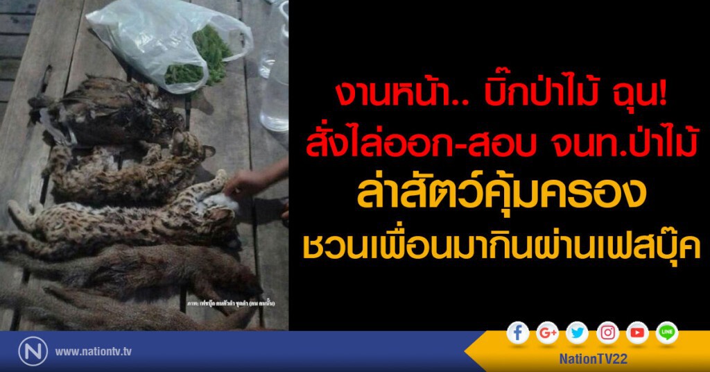 งานหน้า.. บิ๊กป่าไม้ ฉุน!
สั่งไล่ออก สอบ จนท.ป่าไม้ล่าสัตว์คุ้มครอง
ชวนเพื่อนมากินผ่านเฟสบุ๊ค