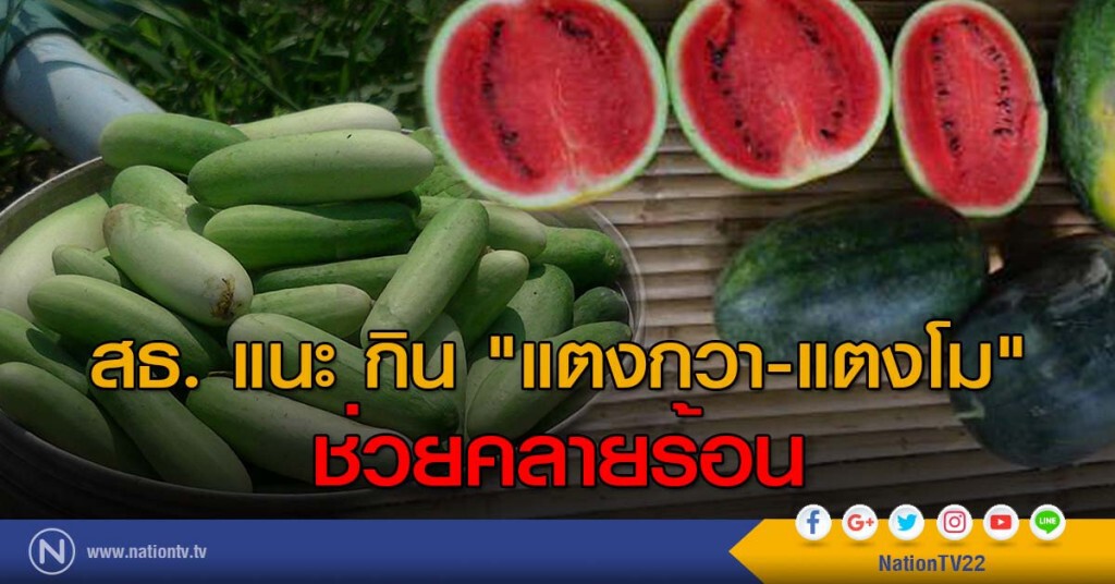 สธ. แนะ กิน"แตงกวา-แตงโม" ช่วยคลายร้อน สธ. แนะ กิน"แตงกวา-แตงโม" ช่วยคลายร้อน