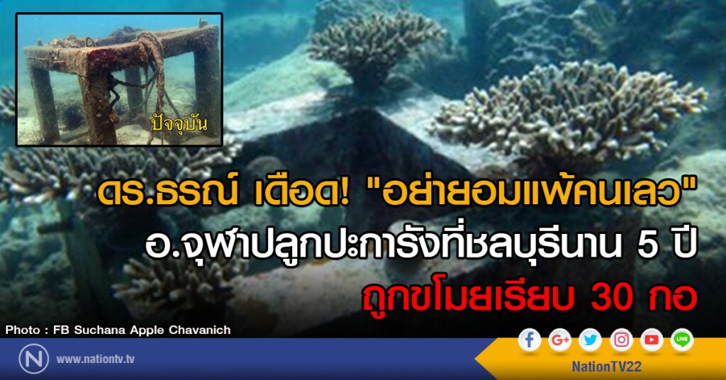 ดร.ธรณ์ เดือด! "อย่ายอมแพ้คนเลว"
อ.จุฬาปลูกปะการังที่ชลบุรีนาน 5 ปี
ถูกขโมยเรียบ 30 กอ