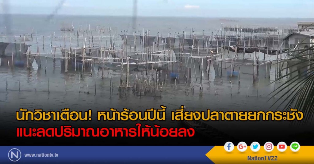 นักวิชาเตือน! หน้าร้อนปีนี้ เสี่ยงปลาตายยกกระชัง แนะลดปริมาณอาหารให้น้อยลง