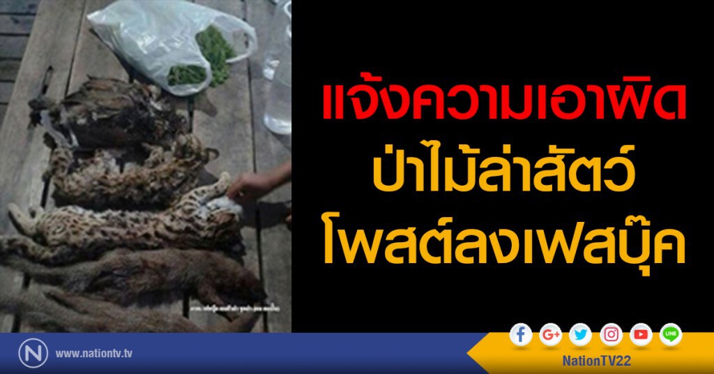 แจ้งความเอาผิด
ป่าไม้ล่าสัตว์
โพสต์ลงเฟสบุ๊ค แจ้งความเอาผิด
ป่าไม้ล่าสัตว์
โพสต์ลงเฟสบุ๊ค