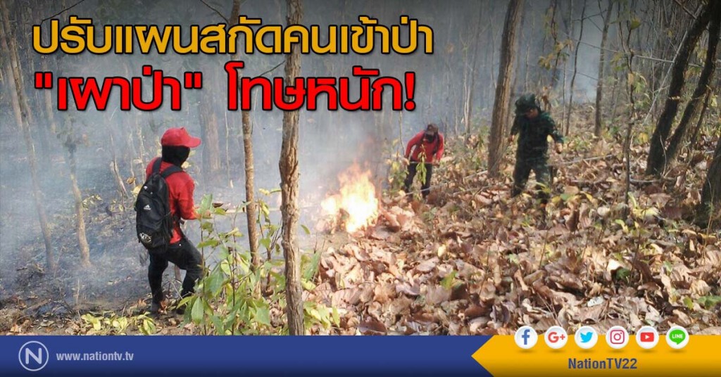 ปรับแผนสกัดคนเข้าป่า "เผาป่า" โทษหนัก!