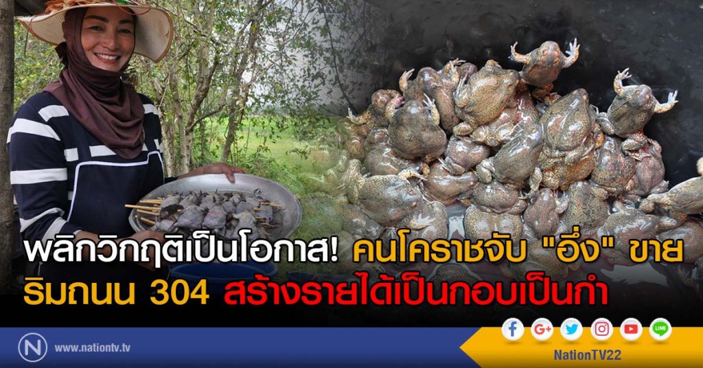 พลิกวิกฤติเป็นโอกาส! คนโคราชจับ "อึ่ง" ขายริมถนน 304 สร้างรายได้เป็นกอบเป็นกำ พลิกวิกฤติเป็นโอกาส! คนโคราชจับ "อึ่ง" ขายริมถนน 304 สร้างรายได้เป็นกอบเป็นกำ