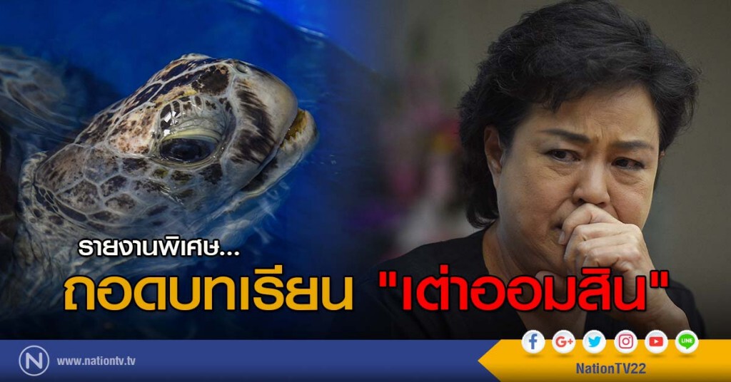 ถอดบทเรียน "เต่าออมสิน"