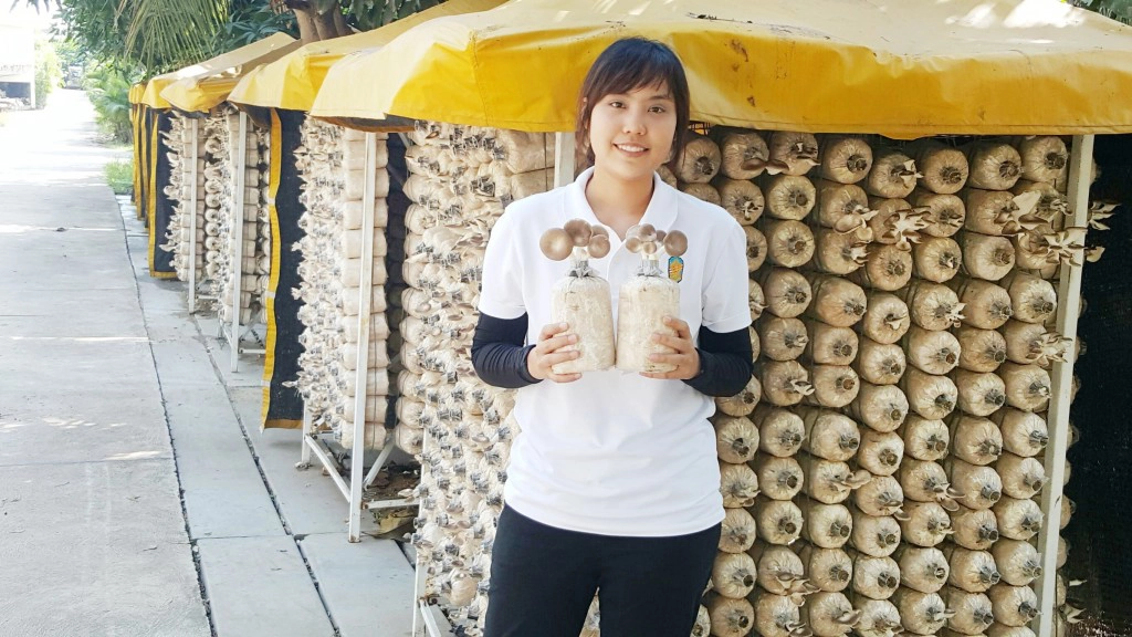 โรงเรือนมินิ...เพาะเห็ดเคลื่อนที่ เกษตรในเมือง สำหรับคนรุ่นใหม่