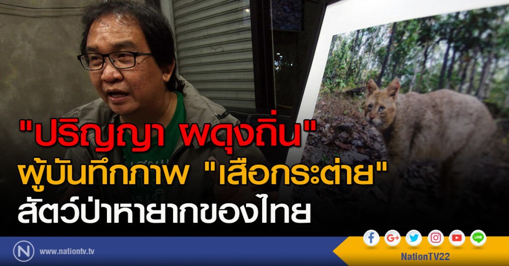 "ปริญญา ผดุงถิ่น" ผู้บันทึกภาพ "เสือกระต่าย" สัตว์ป่าหายากของไทย