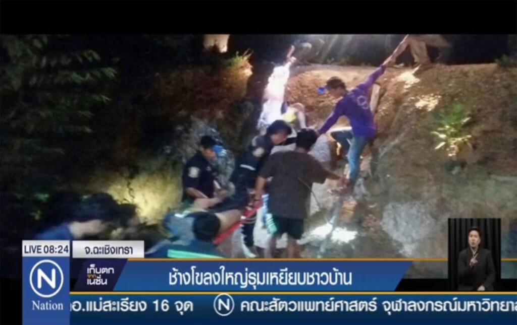 ช้างโขลงใหญ่รุมเหยียบชาวบ้าน