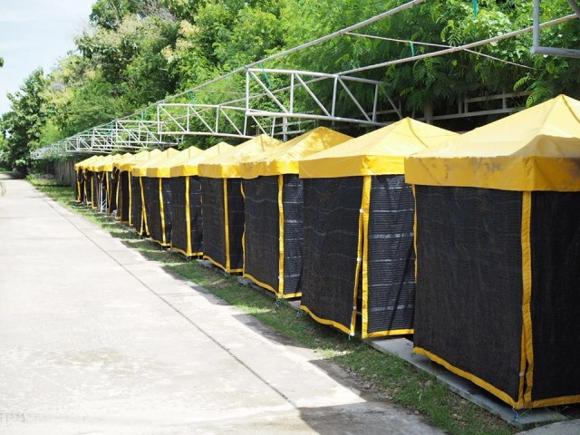 โรงเรือนมินิ...เพาะเห็ดเคลื่อนที่ เกษตรในเมือง สำหรับคนรุ่นใหม่