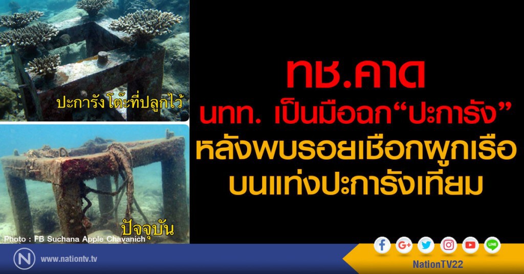 ทช.คาด นทท. มือฉกปะการัง หลังพบรอยเชือกผูกเรือบนแท่งปะการังเทียม