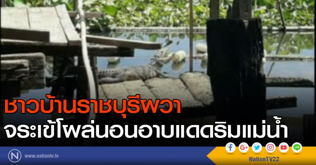 ชาวบ้านผวา จระเข้โผล่นอนอาบแดดริมแม่น้ำ ชาวบ้านผวา จระเข้โผล่นอนอาบแดดริมแม่น้ำ
