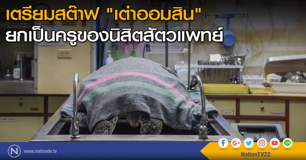เตรียมสต๊าฟ "เต่าออมสิน" - ยกเป็นครูของนิสิตสัตวแพทย์