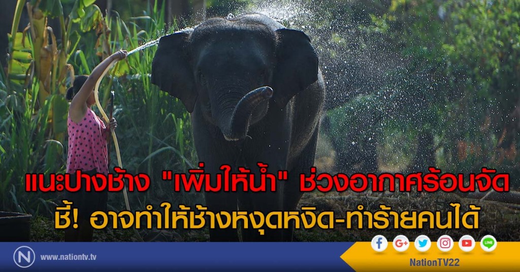 "แนะปางช้าง" เพิ่มให้น้ำช่วงอากาศร้อนจัด ชี้! อาจทำให้ช้างหงุดหงิด-ทำร้ายคนได้