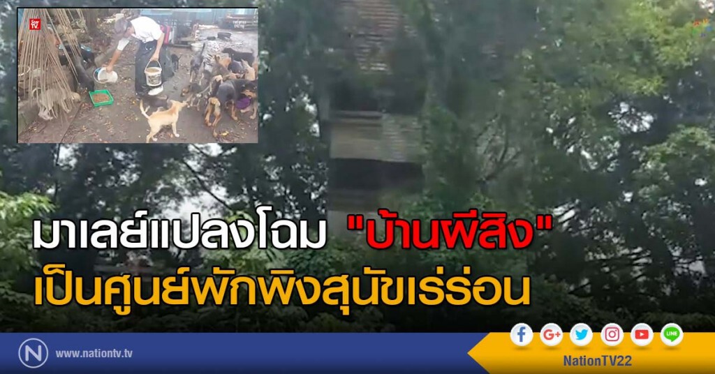 มาเลย์แปลงโฉม "บ้านผีสิง" เป็นศูนย์พักพิงสุนัขเร่ร่อน มาเลย์แปลงโฉม "บ้านผีสิง" เป็นศูนย์พักพิงสุนัขเร่ร่อน