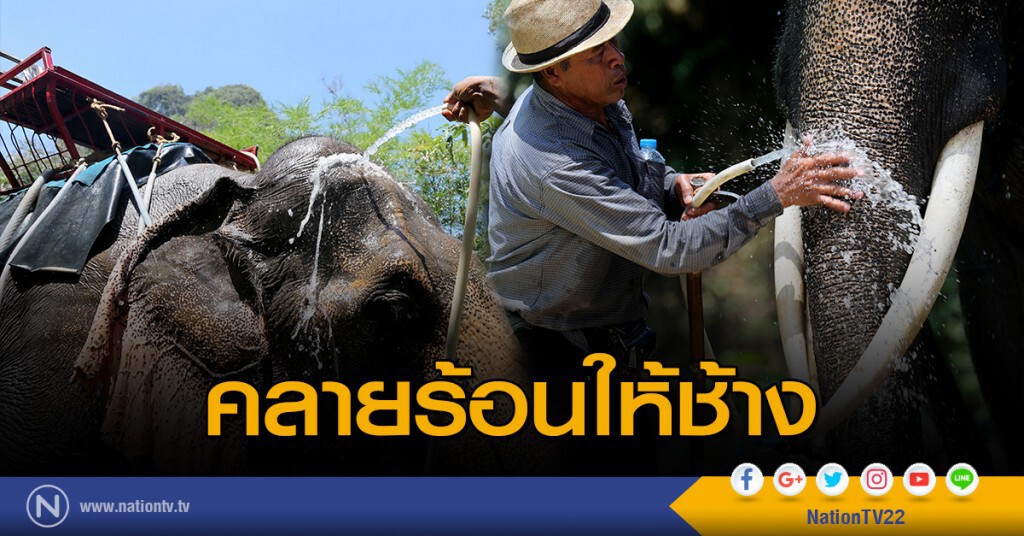 คลายร้อนให้ช้าง คลายร้อนให้ช้าง