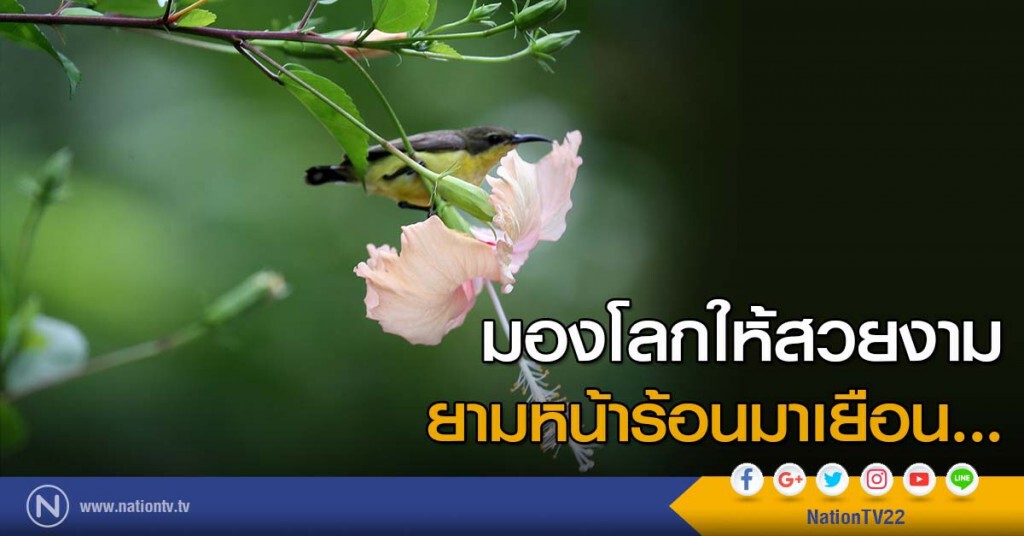 มองโลกให้สวยงาม ยามหน้าร้อนมาเยือน... มองโลกให้สวยงาม ยามหน้าร้อนมาเยือน...