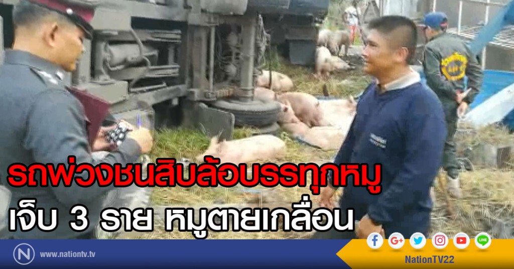 รถพ่วงชนสิบล้อบรรทุกหมู
เจ็บ 3 ราย หมูตายเกลื่อน รถพ่วงชนสิบล้อบรรทุกหมู
เจ็บ 3 ราย หมูตายเกลื่อน