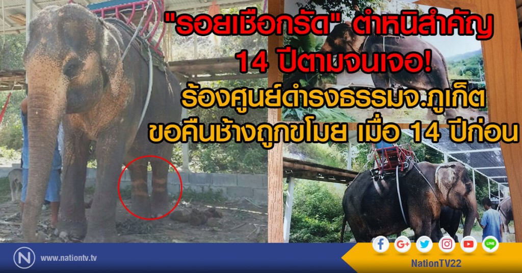 "รอยเชือกรัด" ตำหนิสำคัญ 
14 ปีตามจนเจอ!
ร้องศูนย์ดำรงธรรมจ.ภูเก็ต
ขอคืนช้างถูกขโมย เมื่อ 14 ปีก่อน