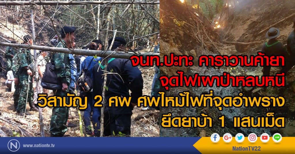 จนท.ปะทะ คาราวานค้ายา
จุดไฟเผาป่าหลบหนี
วิสามัญ 2 ศพ ศพไหม้ไฟที่จุดอำพราง
ยึดยาบ้า1แสนเม็ด
