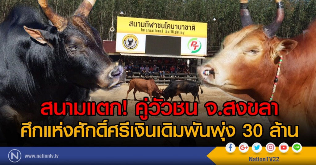 สนามแตก..คู่วัวชนศึกแห่งศักดิ์ศรีเงินเดิมพันพุ่ง 30 ล้าน สนามแตก..คู่วัวชนศึกแห่งศักดิ์ศรีเงินเดิมพันพุ่ง 30 ล้าน