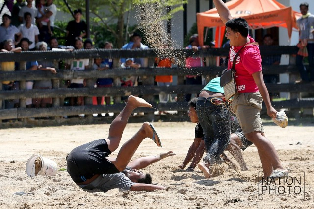 ภาพชุดใหญ่ สนามแตก
คู่วัวชน.. ศึกแห่งศักดิ์ศรี