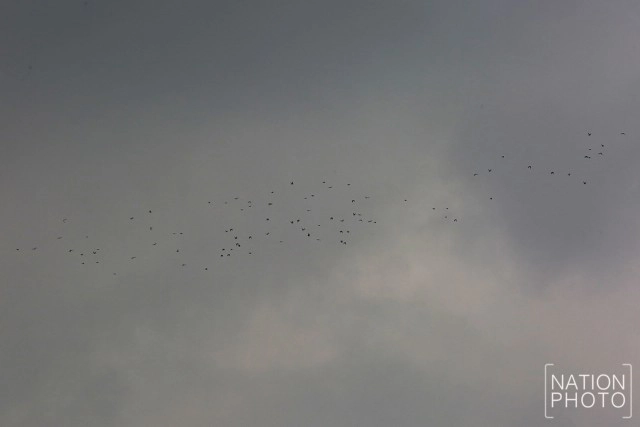 ผู้คนไปทำงาน ในวันที่ฝนตก