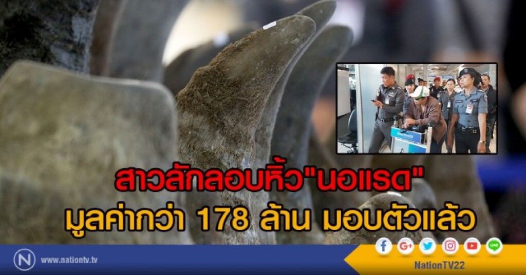 สาวลักลอบหิ้ว "นอแรด" มอบตัวแล้ว