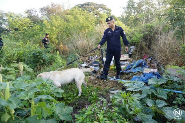 ขยายผลแก๊งค้ากัญชา"บังหมัด" นำสุนัขตรวจสอบแคมป์คนงาน