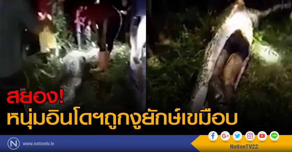สยอง!!! หนุ่มอินโดนีเซียถูกงูยักษ์เขมือบ