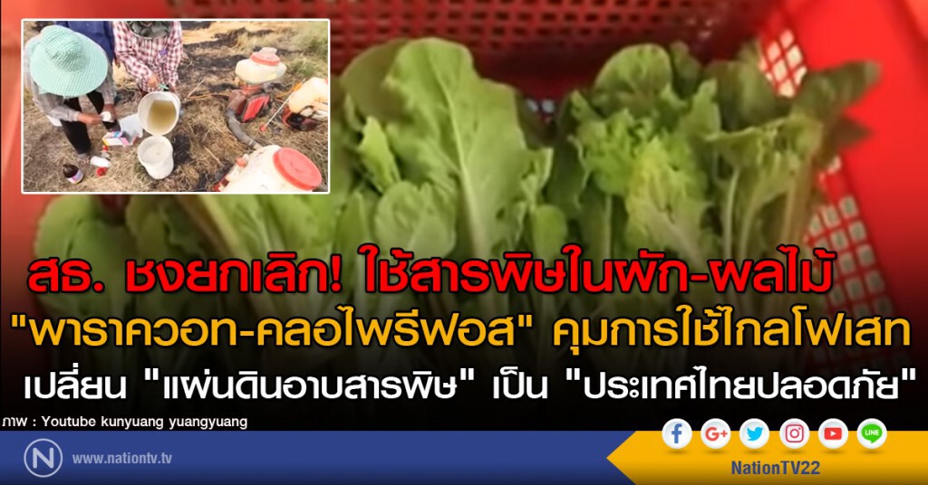 สธ. ชงยกเลิก! ใช้สารพิษในผัก-ผลไม้
"พาราควอท-คลอไพรีฟอส" คุมการใช้ไกลโฟเสท
