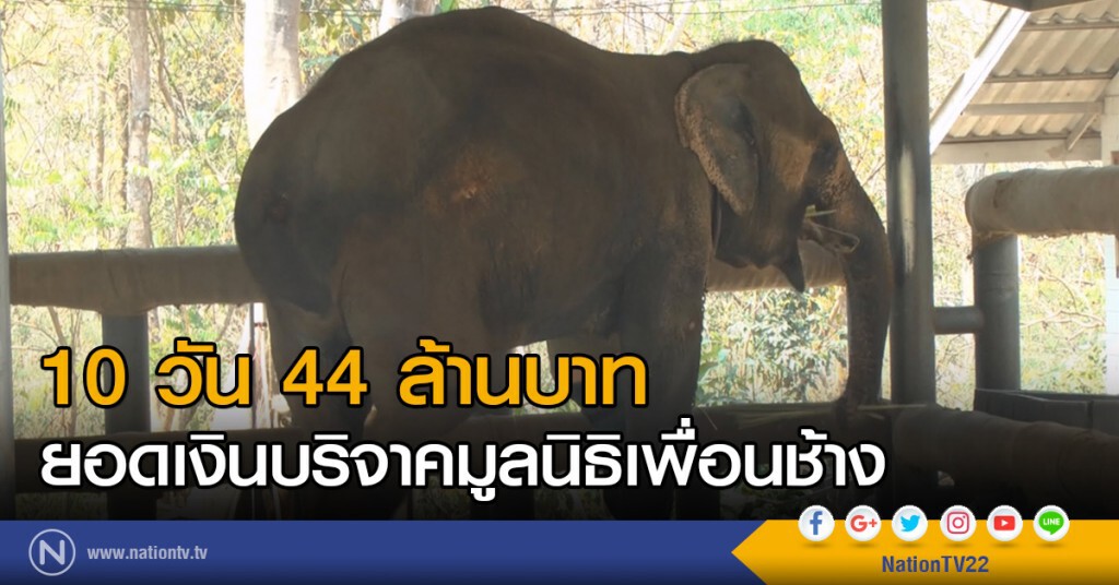 10 วัน 44 ล้านบาท
ยอดเงินบริจาคมูลนิธิเพื่อนช้าง 10 วัน 44 ล้านบาท
ยอดเงินบริจาคมูลนิธิเพื่อนช้าง