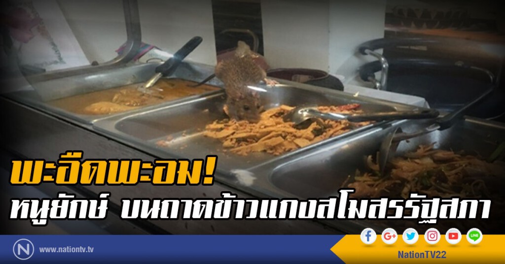 พะอืดพะอม! หนูยักษ์ บนถาดข้าวแกงสโมสรรัฐสภา