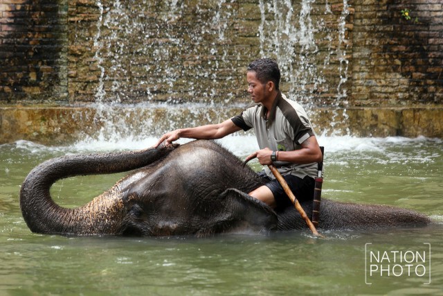 สวนสัตว์ดุสิต จัดของเย็น คลายร้อนให้สัตว์