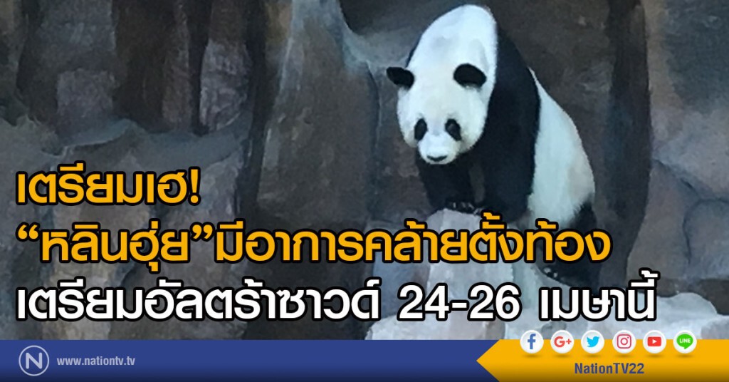 เตรียมเฮ"หลินฮุ่ย"มีอาการคล้ายตั้งท้อง
เตรียมอัลตร้าซาวด์ 24-26 เมษานี้
