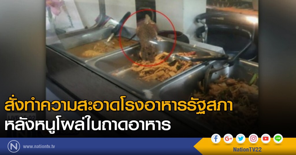 สั่งทำความสะอาดโรงอาหารรัฐสภา หลังหนูโผล่ในถาดอาหาร สั่งทำความสะอาดโรงอาหารรัฐสภา หลังหนูโผล่ในถาดอาหาร