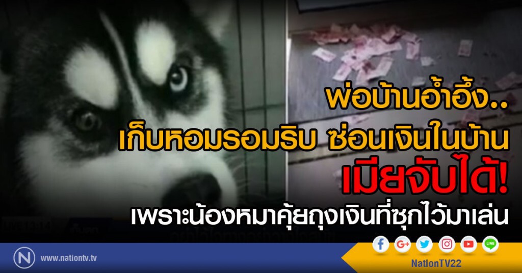 อย่าไว้ใจทาง อย่าวางใจสุนัข อย่าไว้ใจทาง อย่าวางใจสุนัข