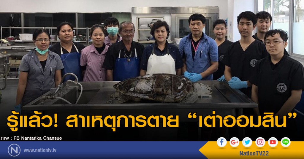 รู้แล้วสาเหตุการตาย "เต่าออมสิน" รู้แล้วสาเหตุการตาย "เต่าออมสิน"