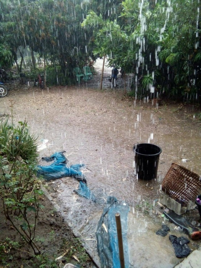 พายุฝนลูกเห็บพัดถล่ม อ.จอมทอง จ.เชียงใหม่