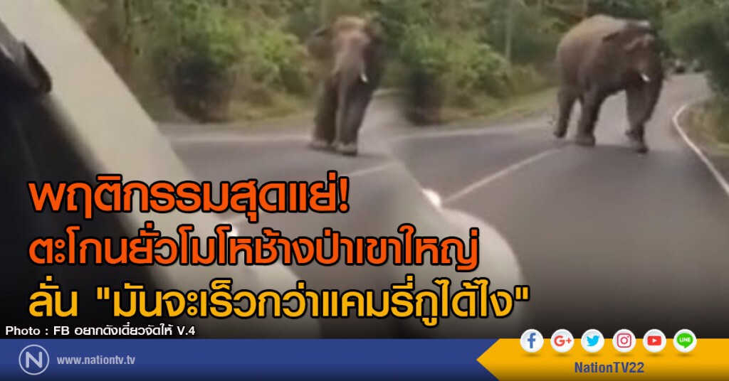 พฤติกรรมสุดแย่!
ตะโกนยั่วโมโหช้างป่าเขาใหญ่
ลั่น "มันจะเร็วกว่าแคมรี่กูได้ไง" พฤติกรรมสุดแย่!
ตะโกนยั่วโมโหช้างป่าเขาใหญ่
ลั่น "มันจะเร็วกว่าแคมรี่กูได้ไง"