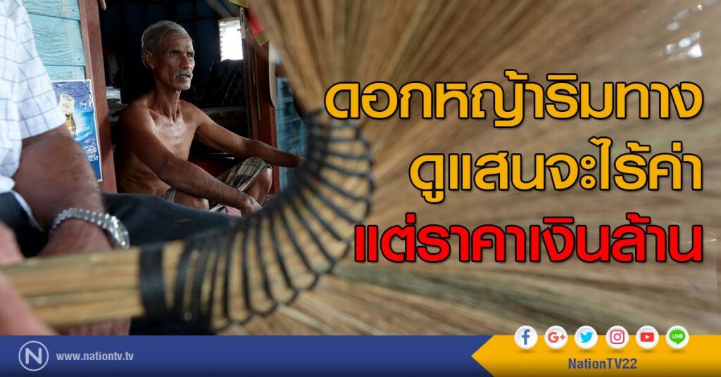 ดอกหญ้าริมทาง ดูแสนจะไร้ค่า แต่ราคาเงินล้าน