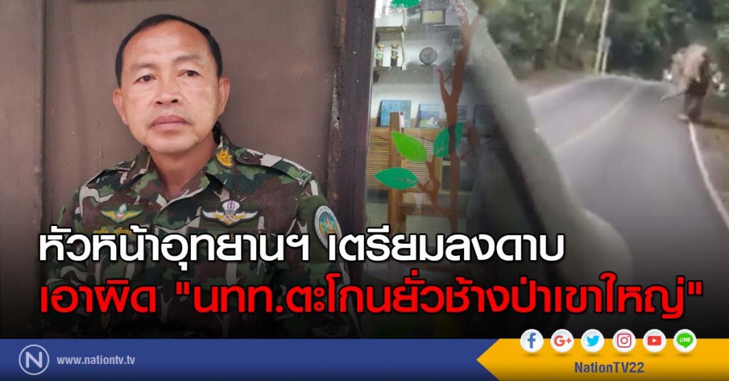 หัวหน้าอุทยานฯ เตรียมลงดาบเอาผิด "นทท.ตะโกนยั่วช้างป่าเขาใหญ่"