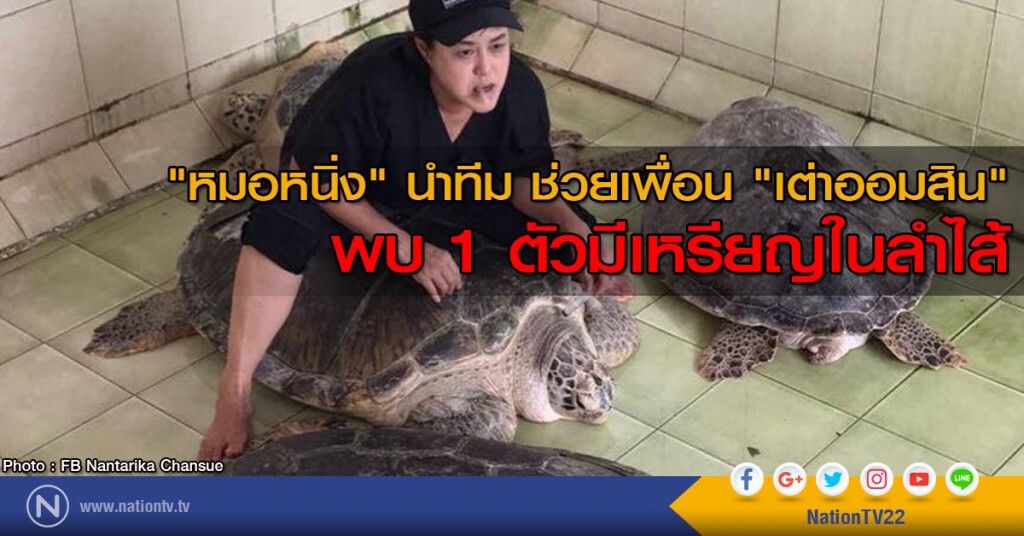 "หมอหนิ่ง" นำทีม ช่วยเพื่อน "เต่าออมสิน" "หมอหนิ่ง" นำทีม ช่วยเพื่อน "เต่าออมสิน"