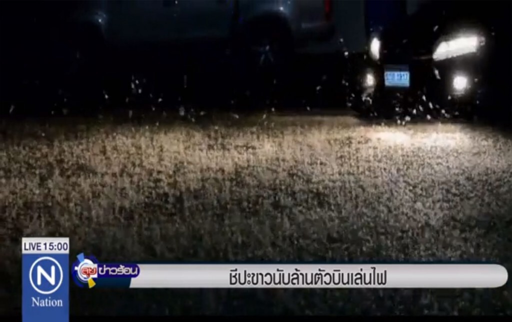 ชีปะขาวขึ้นมาจากแม่น้ำโขงเล่นไฟ ชีปะขาวขึ้นมาจากแม่น้ำโขงเล่นไฟ