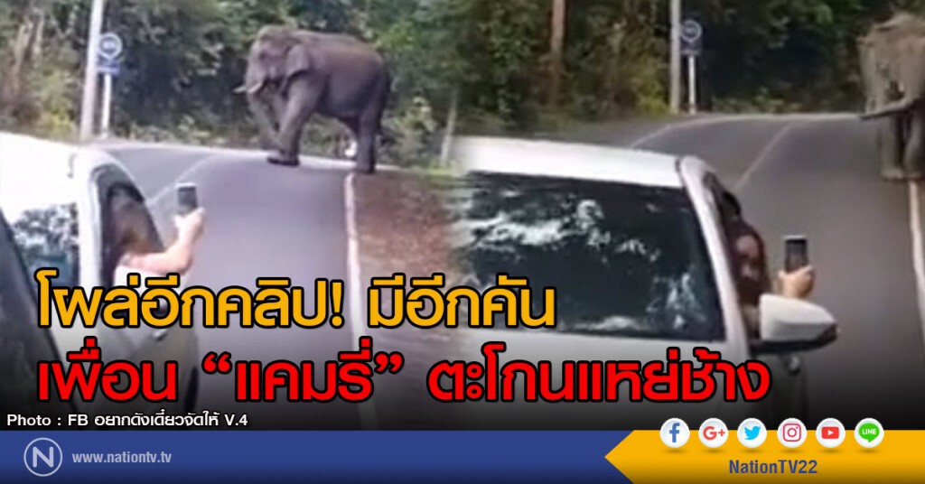 โผล่อีกคลิป! มีอีกคัน
เพื่อน "แคมรี่" ตะโกนแหย่ช้าง โผล่อีกคลิป! มีอีกคัน
เพื่อน "แคมรี่" ตะโกนแหย่ช้าง